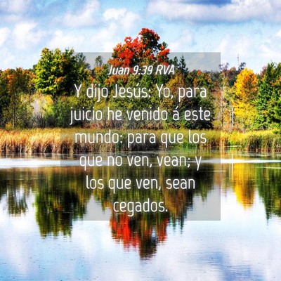 Picture 04 - Juan 9:39 RVA - Y dijo Jesús: Yo, para juicio he venido á este - Bible Verse Picture
