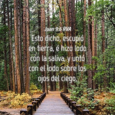 Picture 04 - Juan 9:6 RVA - Esto dicho, escupió en tierra, é hizo lodo con - Bible Verse Picture