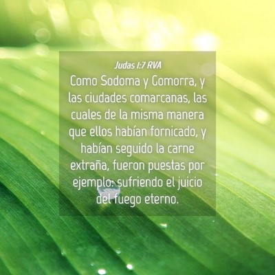 Picture 04 - Judas 1:7 RVA - Como Sodoma y Gomorra, y las ciudades comarcanas, - Bible Verse Picture
