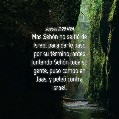 Picture 04 - Jueces 11:20 RVA - Mas Sehón no se fió de Israel para darle paso - Bible Verse Picture