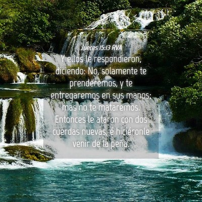 Picture 04 - Jueces 15:13 RVA - Y ellos le respondieron, diciendo: No, solamente - Bible Verse Picture