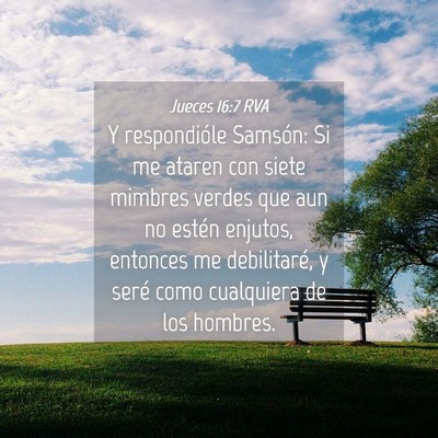Picture 04 - Jueces 16:7 RVA - Y respondióle Samsón: Si me ataren con siete - Bible Verse Picture