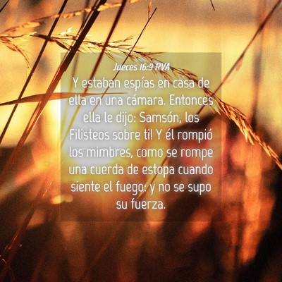 Picture 04 - Jueces 16:9 RVA - Y estaban espías en casa de ella en una cámara. - Bible Verse Picture
