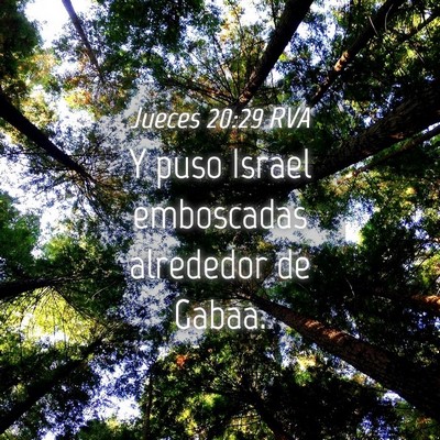 Picture 04 - Jueces 20:29 RVA - Y puso Israel emboscadas alrededor de - Bible Verse Picture