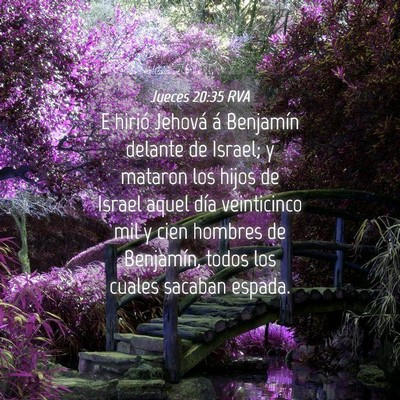 Picture 04 - Jueces 20:35 RVA - E hirió Jehová á Benjamín delante de Israel; - Bible Verse Picture