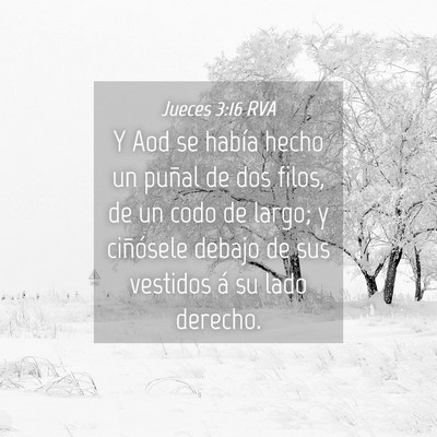 Picture 04 - Jueces 3:16 RVA - Y Aod se había hecho un puñal de dos filos, de - Bible Verse Picture