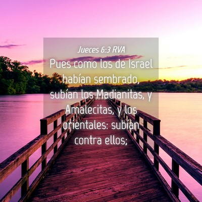 Picture 04 - Jueces 6:3 RVA - Pues como los de Israel habían sembrado, subían - Bible Verse Picture