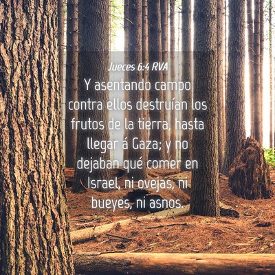 Picture 04 - Jueces 6:4 RVA - Y asentando campo contra ellos destruían los - Bible Verse Picture