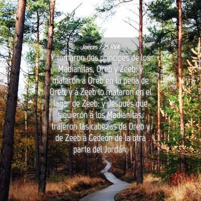 Picture 04 - Jueces 7:25 RVA - Y tomaron dos príncipes de los Madianitas, Oreb - Bible Verse Picture