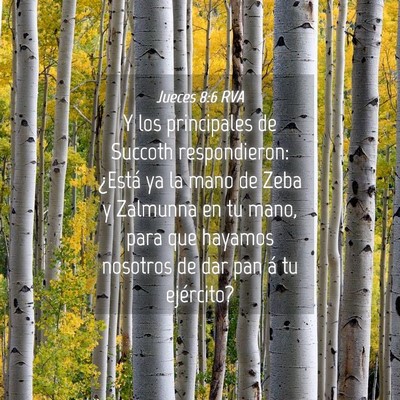 Picture 04 - Jueces 8:6 RVA - Y los principales de Succoth respondieron: - Bible Verse Picture