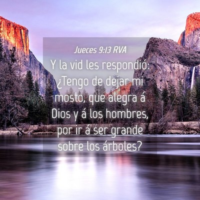 Picture 04 - Jueces 9:13 RVA - Y la vid les respondió: ¿Tengo de dejar mi - Bible Verse Picture