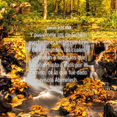 Picture 04 - Jueces 9:25 RVA - Y pusiéronle los de Sichêm asechadores en las - Bible Verse Picture