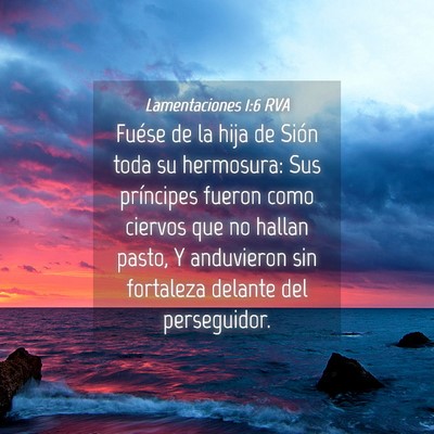 Picture 04 - Lamentaciones 1:6 RVA - Fuése de la hija de Sión toda su hermosura: Sus - Bible Verse Picture