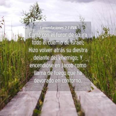 Picture 04 - Lamentaciones 2:3 RVA - Cortó con el furor de su ira todo el cuerno de - Bible Verse Picture