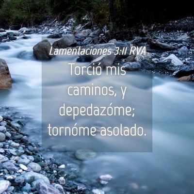 Picture 04 - Lamentaciones 3:11 RVA - Torció mis caminos, y depedazóme; tornóme - Bible Verse Picture