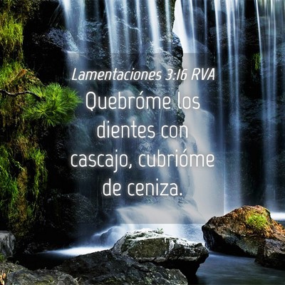 Picture 04 - Lamentaciones 3:16 RVA - Quebróme los dientes con cascajo, cubrióme de - Bible Verse Picture