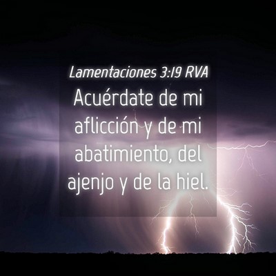 Picture 04 - Lamentaciones 3:19 RVA - Acuérdate de mi aflicción y de mi abatimiento, - Bible Verse Picture