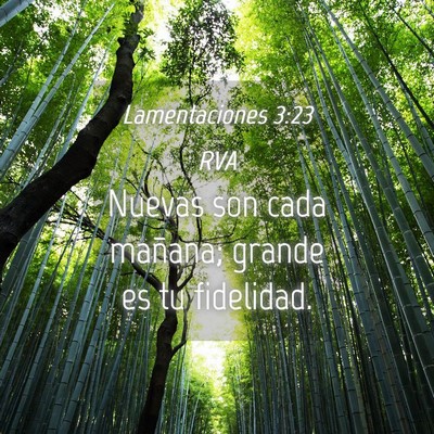 Picture 04 - Lamentaciones 3:23 RVA - Nuevas son cada mañana; grande es tu - Bible Verse Picture
