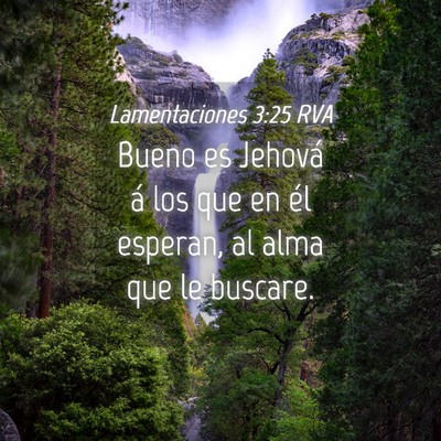 Picture 04 - Lamentaciones 3:25 RVA - Bueno es Jehová á los que en él esperan, al - Bible Verse Picture