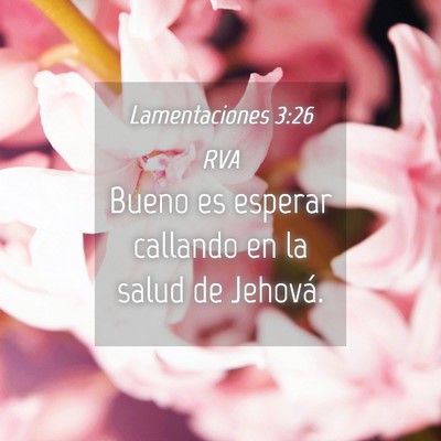 Picture 04 - Lamentaciones 3:26 RVA - Bueno es esperar callando en la salud de - Bible Verse Picture