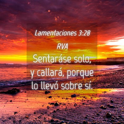 Picture 04 - Lamentaciones 3:28 RVA - Sentaráse solo, y callará, porque lo llevó - Bible Verse Picture