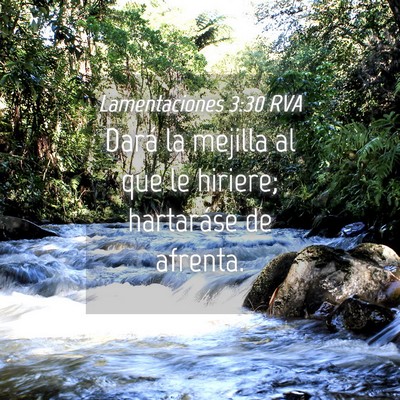 Picture 04 - Lamentaciones 3:30 RVA - Dará la mejilla al que le hiriere; hartaráse de - Bible Verse Picture