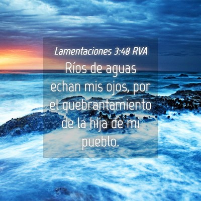 Picture 04 - Lamentaciones 3:48 RVA - Ríos de aguas echan mis ojos, por el - Bible Verse Picture