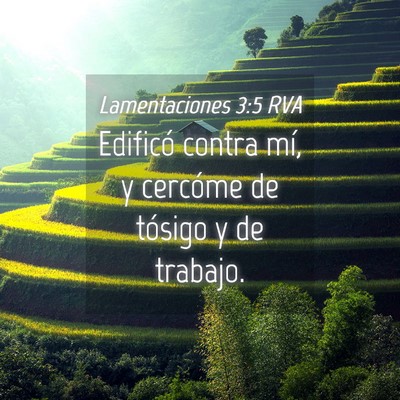 Picture 04 - Lamentaciones 3:5 RVA - Edificó contra mí, y cercóme de tósigo y de - Bible Verse Picture