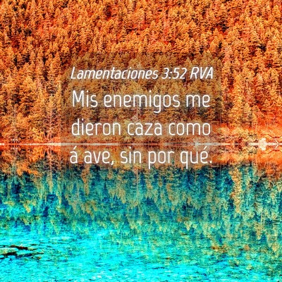 Picture 04 - Lamentaciones 3:52 RVA - Mis enemigos me dieron caza como á ave, sin por - Bible Verse Picture