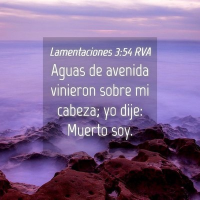 Picture 04 - Lamentaciones 3:54 RVA - Aguas de avenida vinieron sobre mi cabeza; yo - Bible Verse Picture