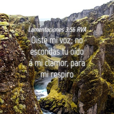 Picture 04 - Lamentaciones 3:56 RVA - Oiste mi voz; no escondas tu oído á mi clamor, - Bible Verse Picture