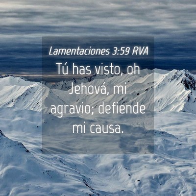 Picture 04 - Lamentaciones 3:59 RVA - Tú has visto, oh Jehová, mi agravio; defiende - Bible Verse Picture