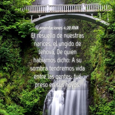 Picture 04 - Lamentaciones 4:20 RVA - El resuello de nuestras narices, el ungido de - Bible Verse Picture