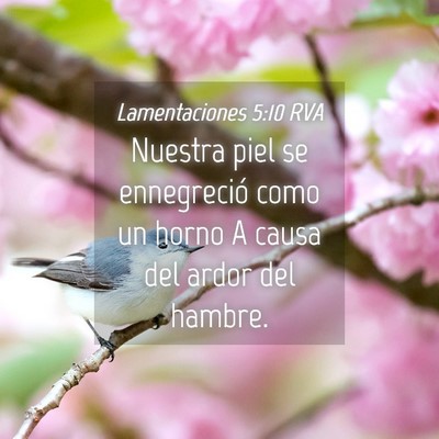 Picture 04 - Lamentaciones 5:10 RVA - Nuestra piel se ennegreció como un horno A causa - Bible Verse Picture