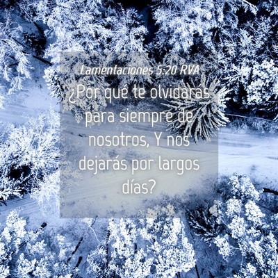 Picture 04 - Lamentaciones 5:20 RVA - ¿Por qué te olvidarás para siempre de - Bible Verse Picture