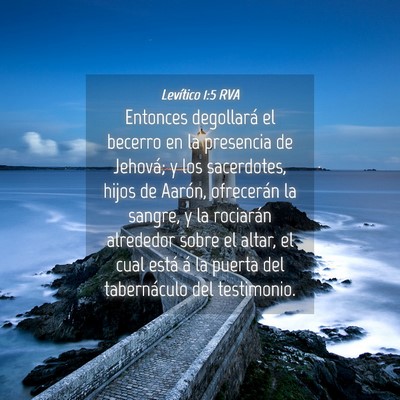 Picture 04 - Levítico 1:5 RVA - Entonces degollará el becerro en la presencia de - Bible Verse Picture