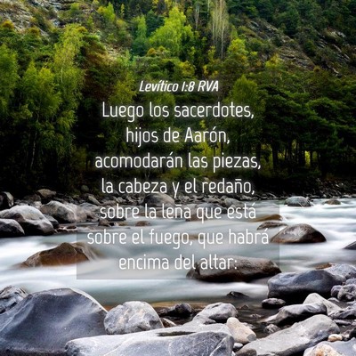 Picture 04 - Levítico 1:8 RVA - Luego los sacerdotes, hijos de Aarón, - Bible Verse Picture