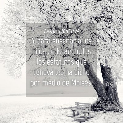 Picture 04 - Levítico 10:11 RVA - Y para enseñar á los hijos de Israel todos los - Bible Verse Picture