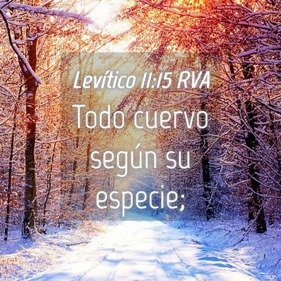 Picture 04 - Levítico 11:15 RVA - Todo cuervo según su - Bible Verse Picture