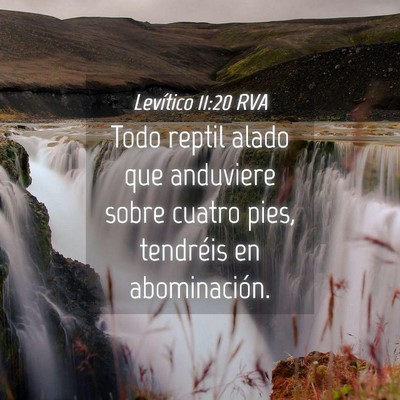 Picture 04 - Levítico 11:20 RVA - Todo reptil alado que anduviere sobre cuatro - Bible Verse Picture