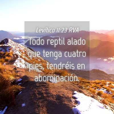 Picture 04 - Levítico 11:23 RVA - Todo reptil alado que tenga cuatro pies, - Bible Verse Picture