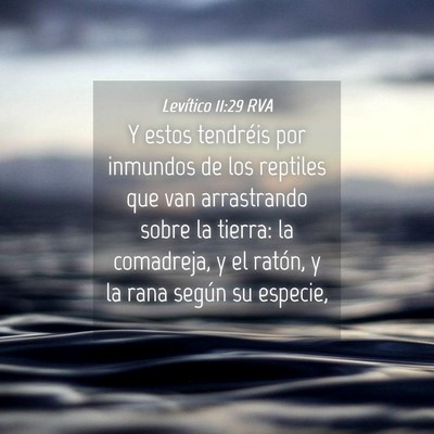 Picture 04 - Levítico 11:29 RVA - Y estos tendréis por inmundos de los reptiles - Bible Verse Picture