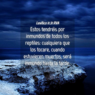 Picture 04 - Levítico 11:31 RVA - Estos tendréis por inmundos de todos los - Bible Verse Picture
