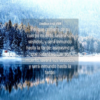 Picture 04 - Levítico 11:40 RVA - Y el que comiere de su cuerpo muerto, lavará sus - Bible Verse Picture