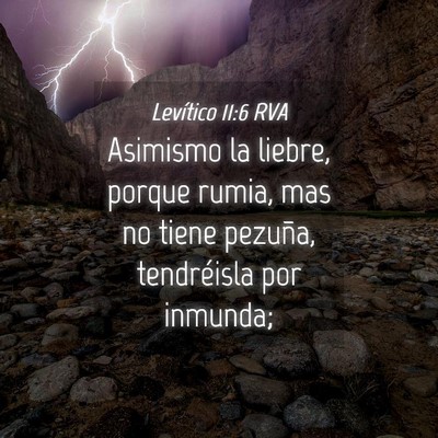 Picture 04 - Levítico 11:6 RVA - Asimismo la liebre, porque rumia, mas no tiene - Bible Verse Picture