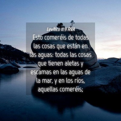 Picture 04 - Levítico 11:9 RVA - Esto comeréis de todas las cosas que están en - Bible Verse Picture