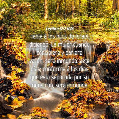 Picture 04 - Levítico 12:2 RVA - Habla á los hijos de Israel, diciendo: La mujer - Bible Verse Picture