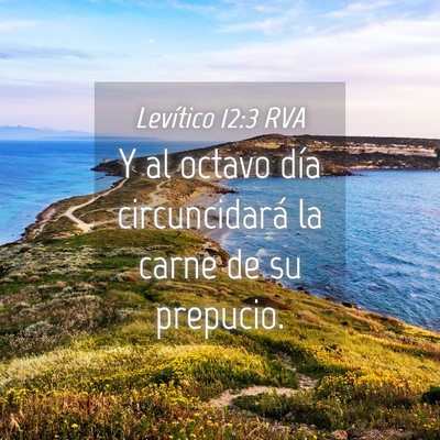 Picture 04 - Levítico 12:3 RVA - Y al octavo día circuncidará la carne de su - Bible Verse Picture
