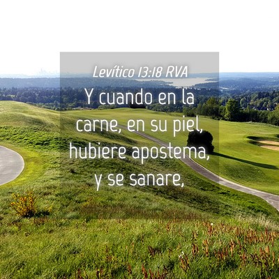 Picture 04 - Levítico 13:18 RVA - Y cuando en la carne, en su piel, hubiere - Bible Verse Picture