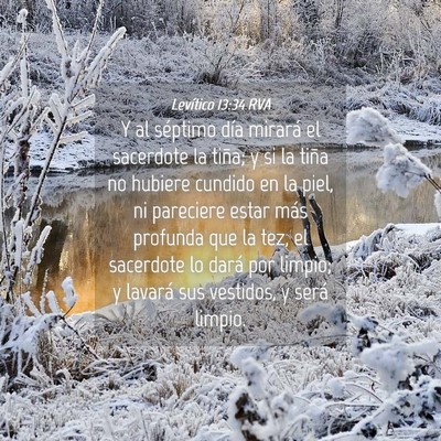 Picture 04 - Levítico 13:34 RVA - Y al séptimo día mirará el sacerdote la tiña; - Bible Verse Picture
